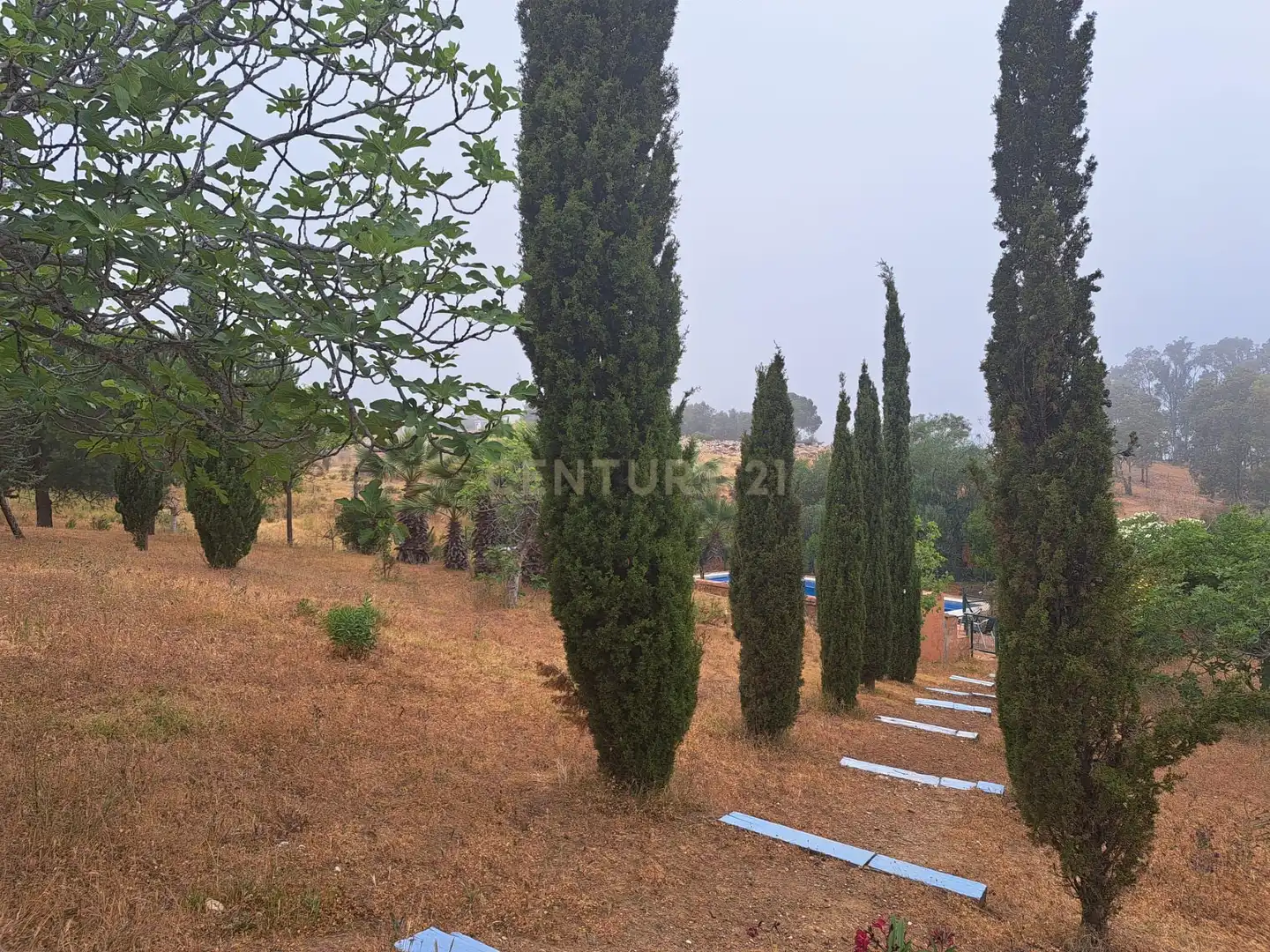 Casa con terraza en venta en Diseminado Entrerrios, 200, Mijas, Spain, imagen 9