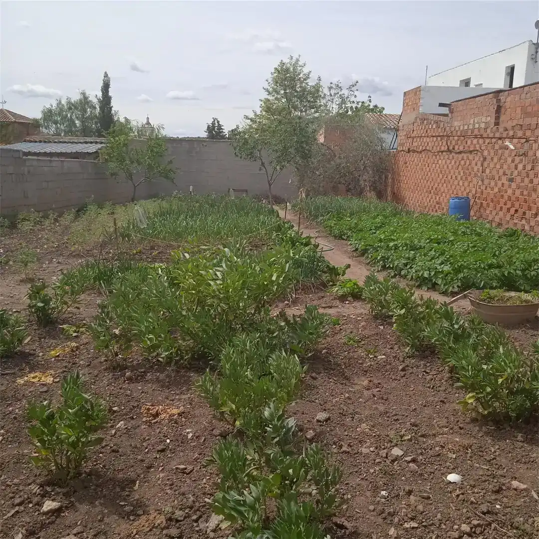 Terreno en venta en Ribera del Fresno, Badajoz