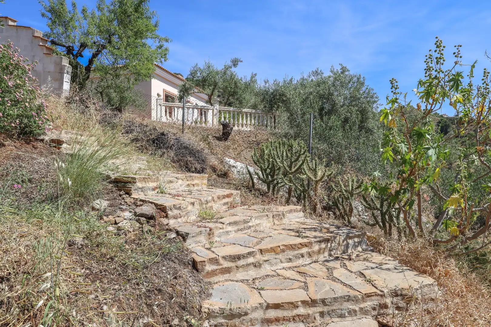 Jardí de Casa o xalet en venda en Monda amb Aire condicionat, Jardí privat i Piscina