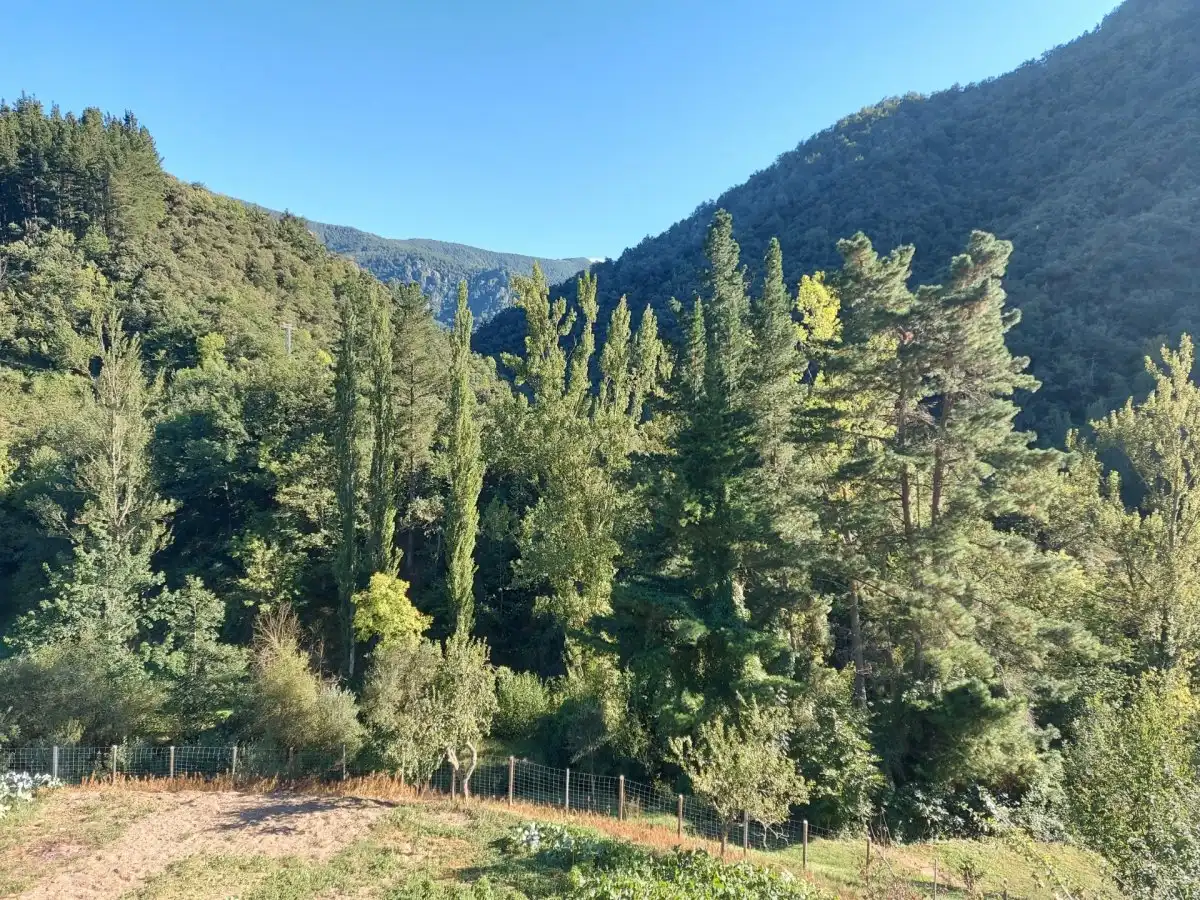 Vista exterior de Finca rústica en venda en Pesaguero amb Jardí privat