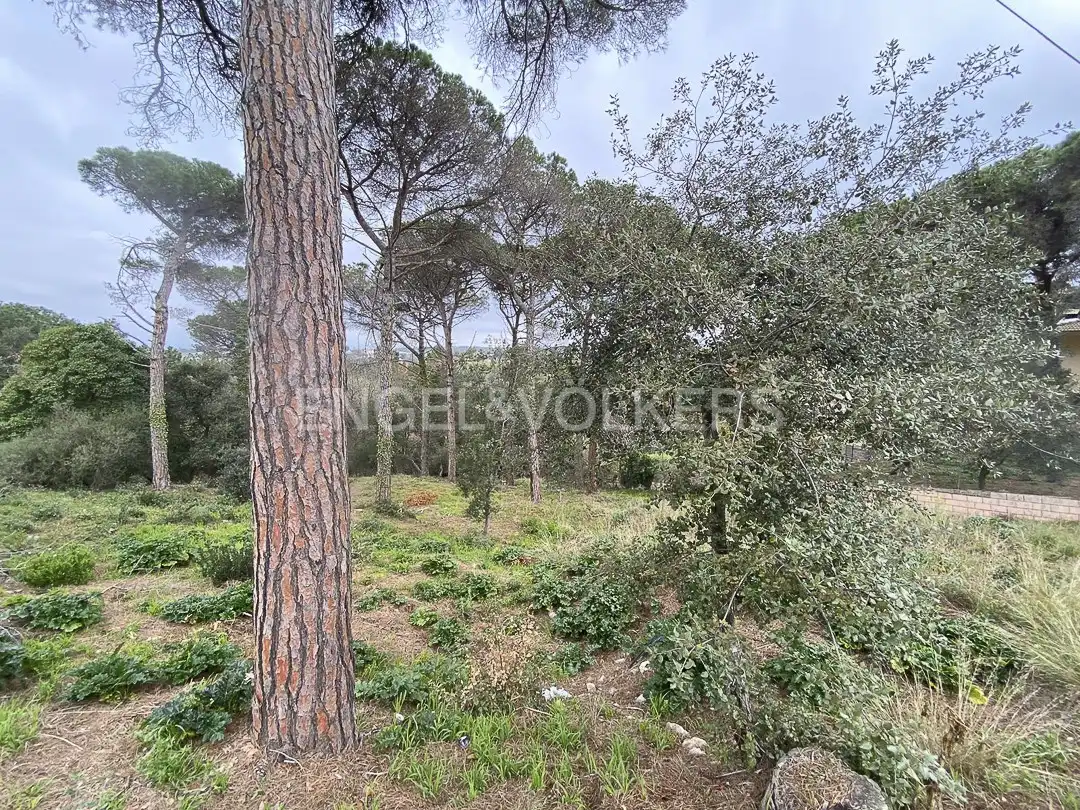 Terreno residencial en venta en Mas Mora - Sant Daniel, imagen 7
