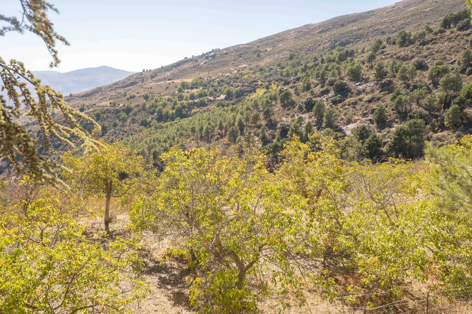 Finca rústica en venda en Válor amb Jardí privat i Terrassa