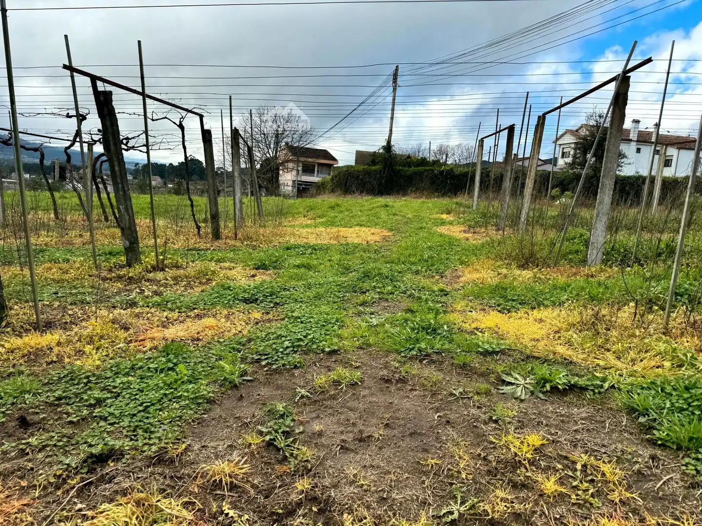 Rural land for sale in Arbo, imagen 27