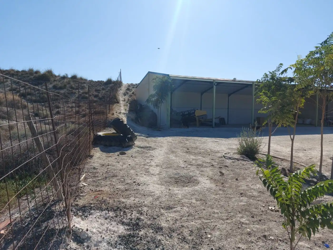 Local comercial en venda a Baza, imagen 14