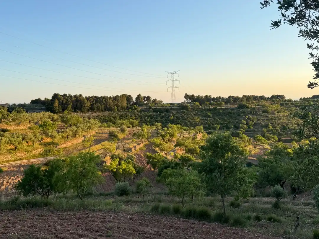 Rustikales Grundstück zum Verkauf in Tosalet 42, imagen 3