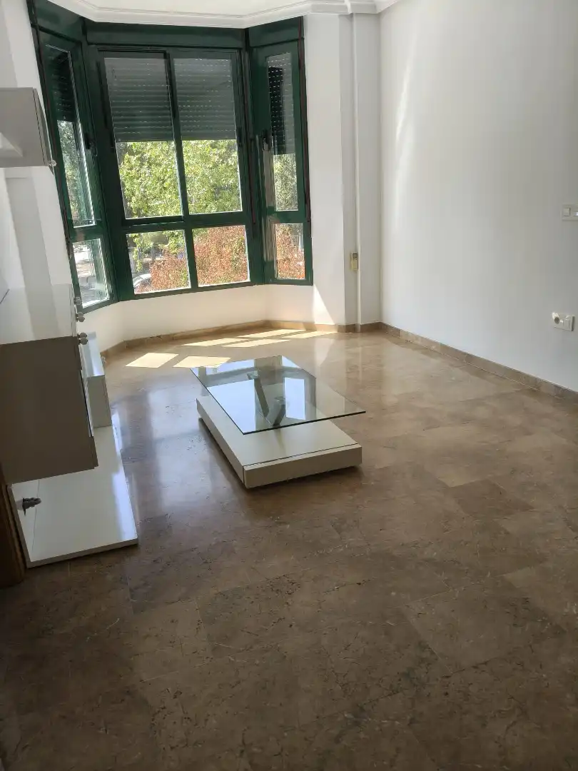 Sala d'estar de Pis de lloguer en Granada amb Aire condicionat, Rentadora i Microones