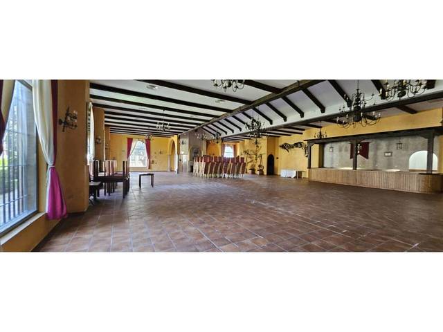 Nave industrial en Alquiler en Calle Camino del Maestro Vicente en Rinconada