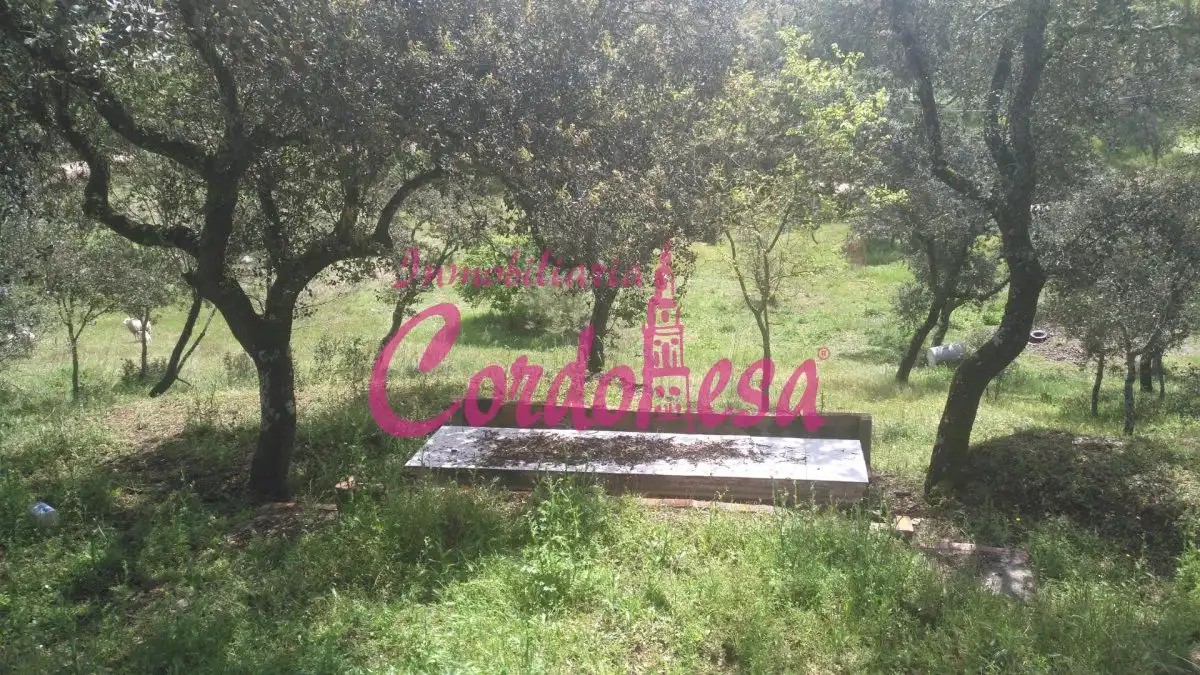 Garden of Country homes for sale in Obejo  with Swimming Pool