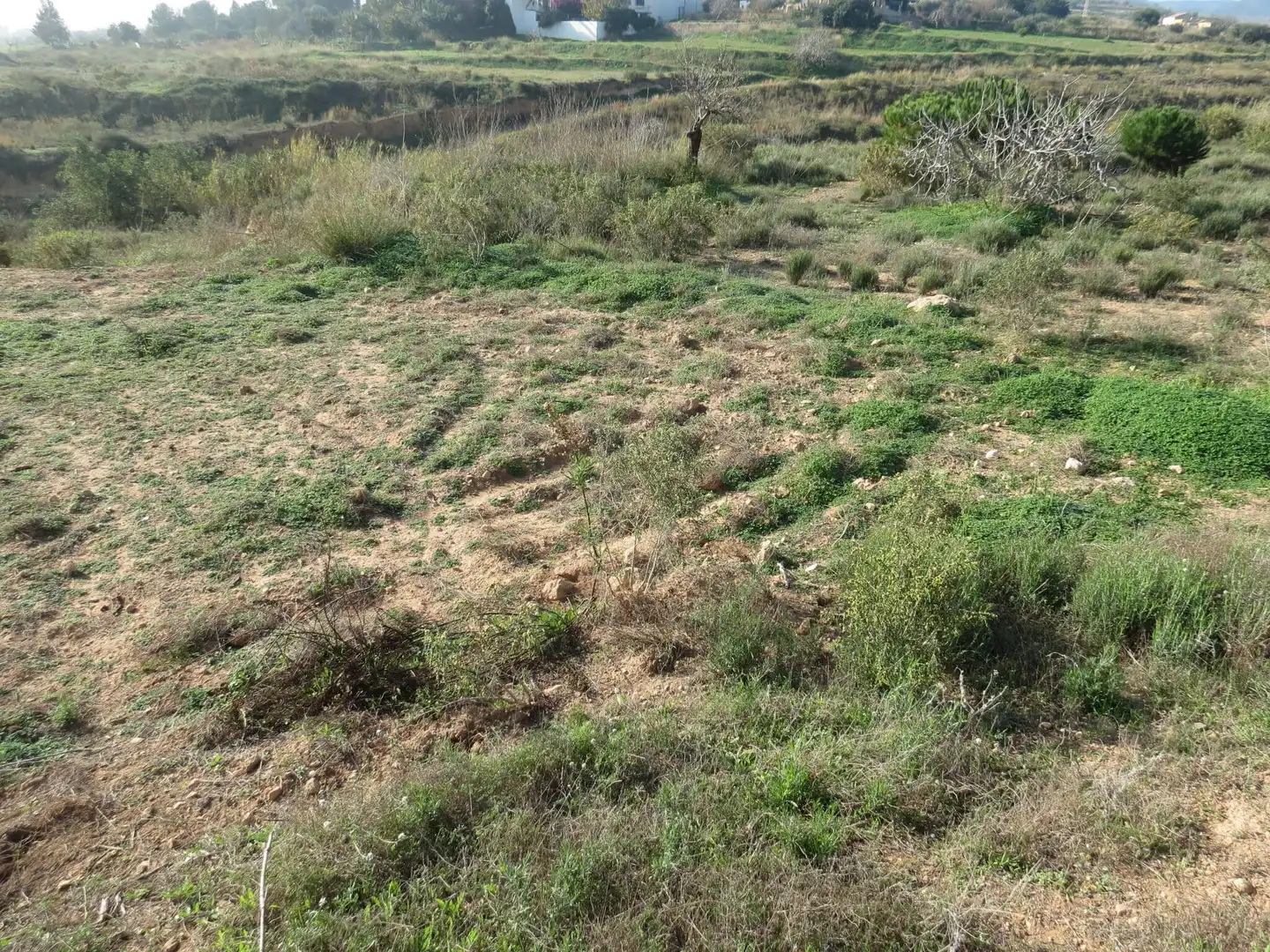 Terreni e lotti in vendita a Pedanías Oeste, imagen 15