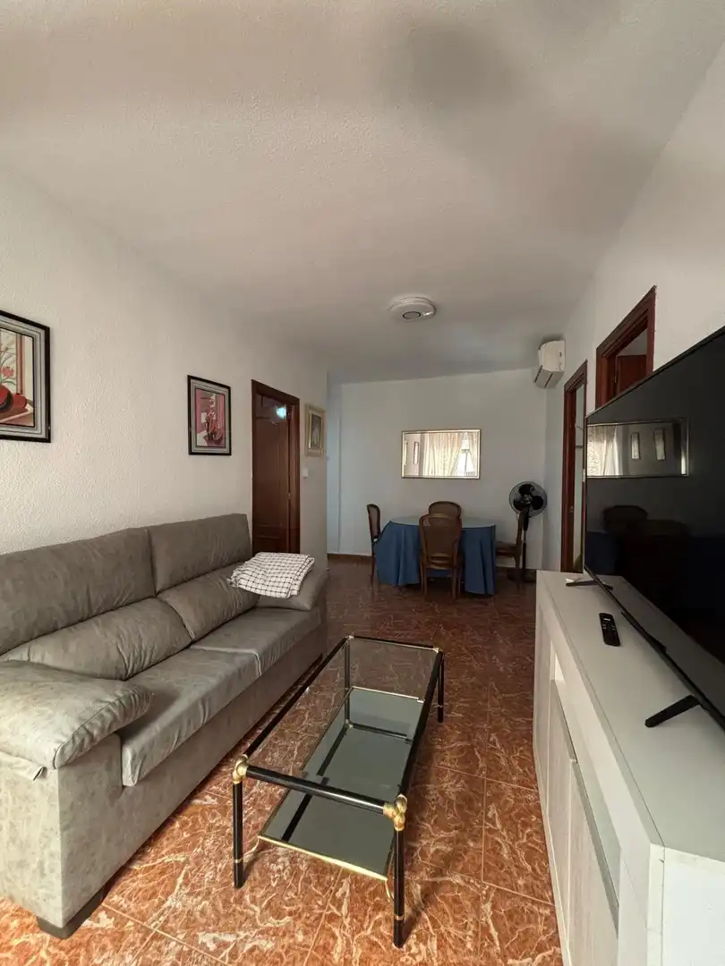 Sala de estar de Piso de alquiler en Granada con Aire acondicionado y Amueblado