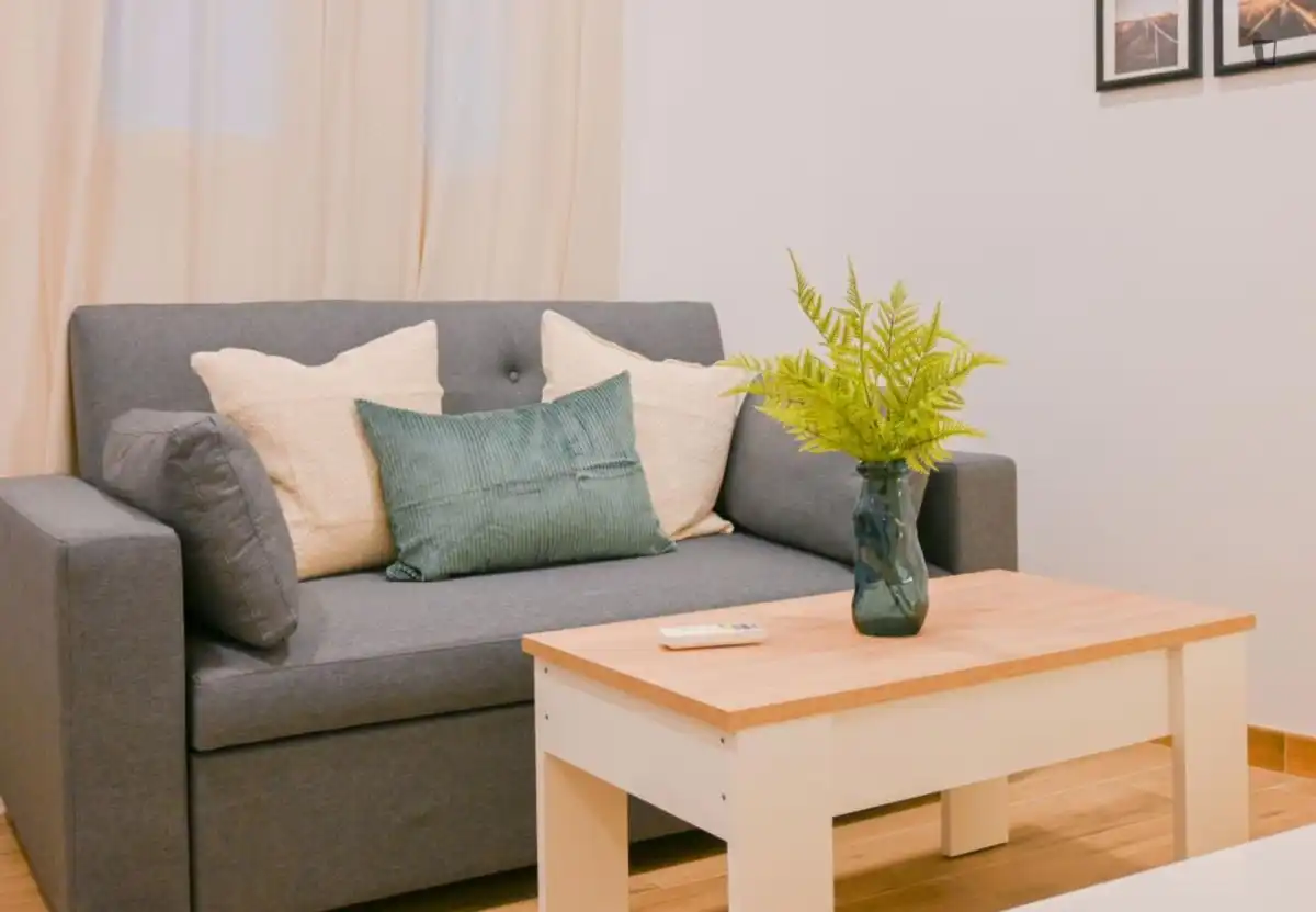 Sala d'estar de Apartament de lloguer en Madrid amb Aire condicionat, Moblat i Rentadora
