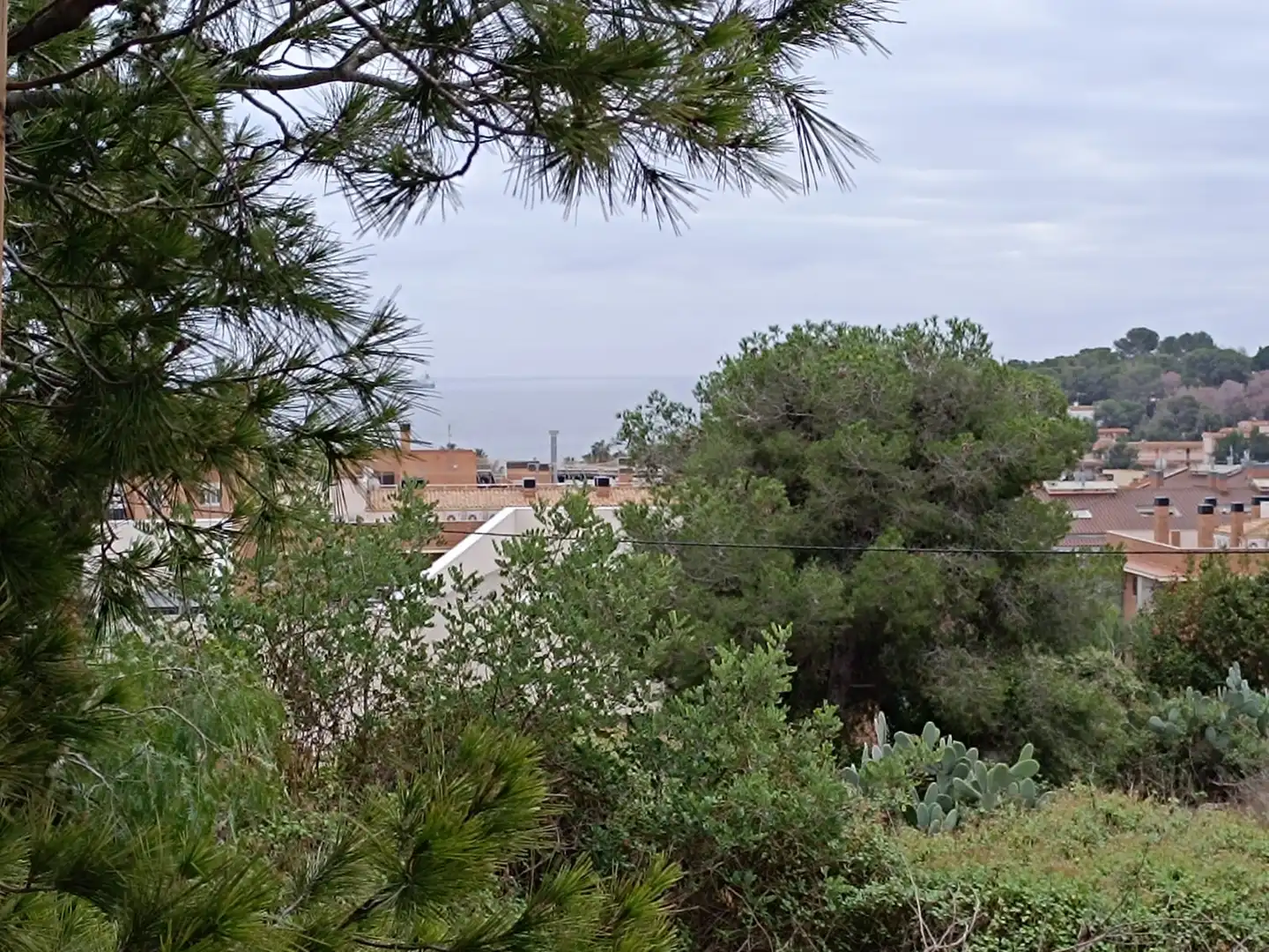 Terreny residencial en venda a Llevant, imagen 18