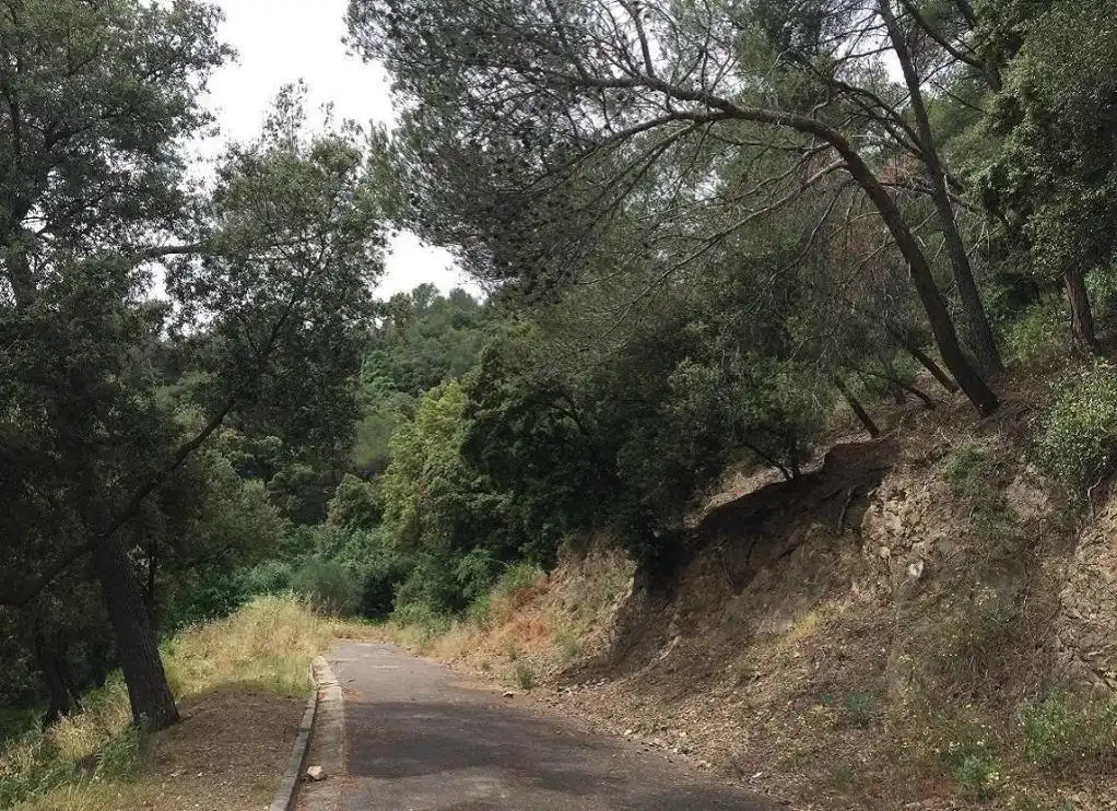 Terreny rústic en venda a LLICORELLA (DE LA), imagen 6