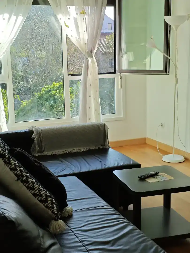 Living room of Flat for rent in Medio Cudeyo