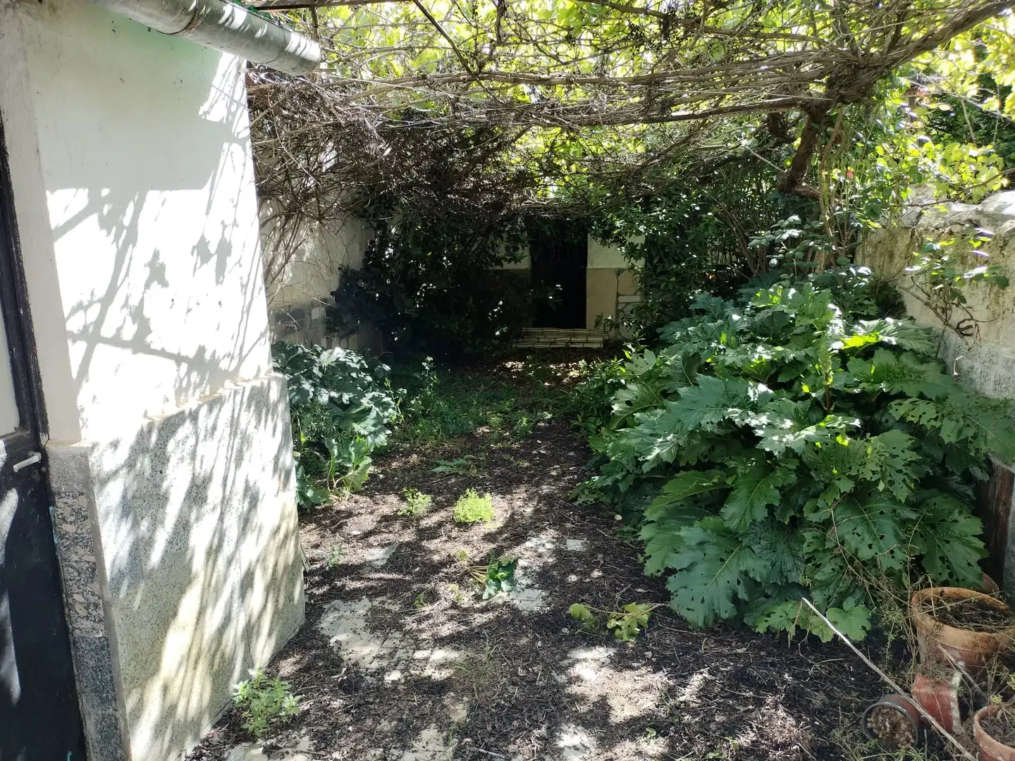 Jardí de Casa o xalet en venda en Pozoblanco amb Terrassa