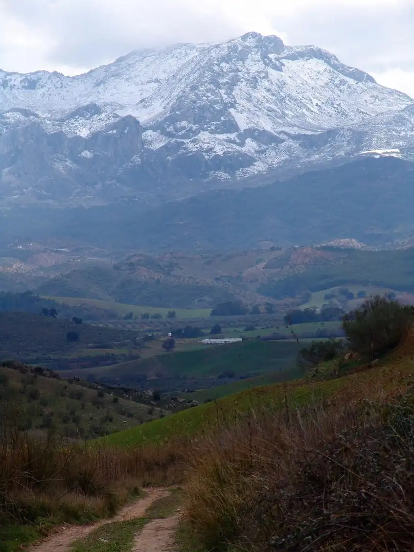 Terreno residenziale in vendita a Ardales, imagen 24