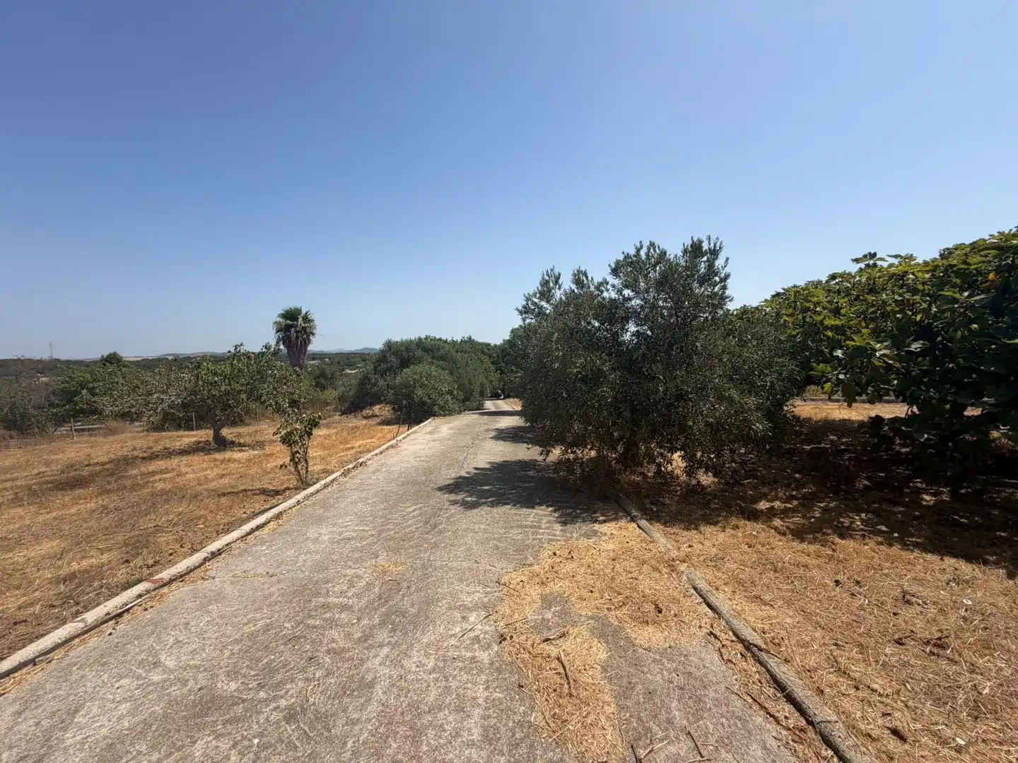 Casa rústica amb jardí en venda a Pelagatos - Pago del Humo, imagen 5