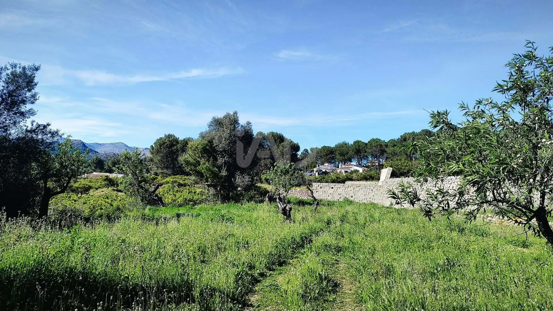 Residential for sale in Murla