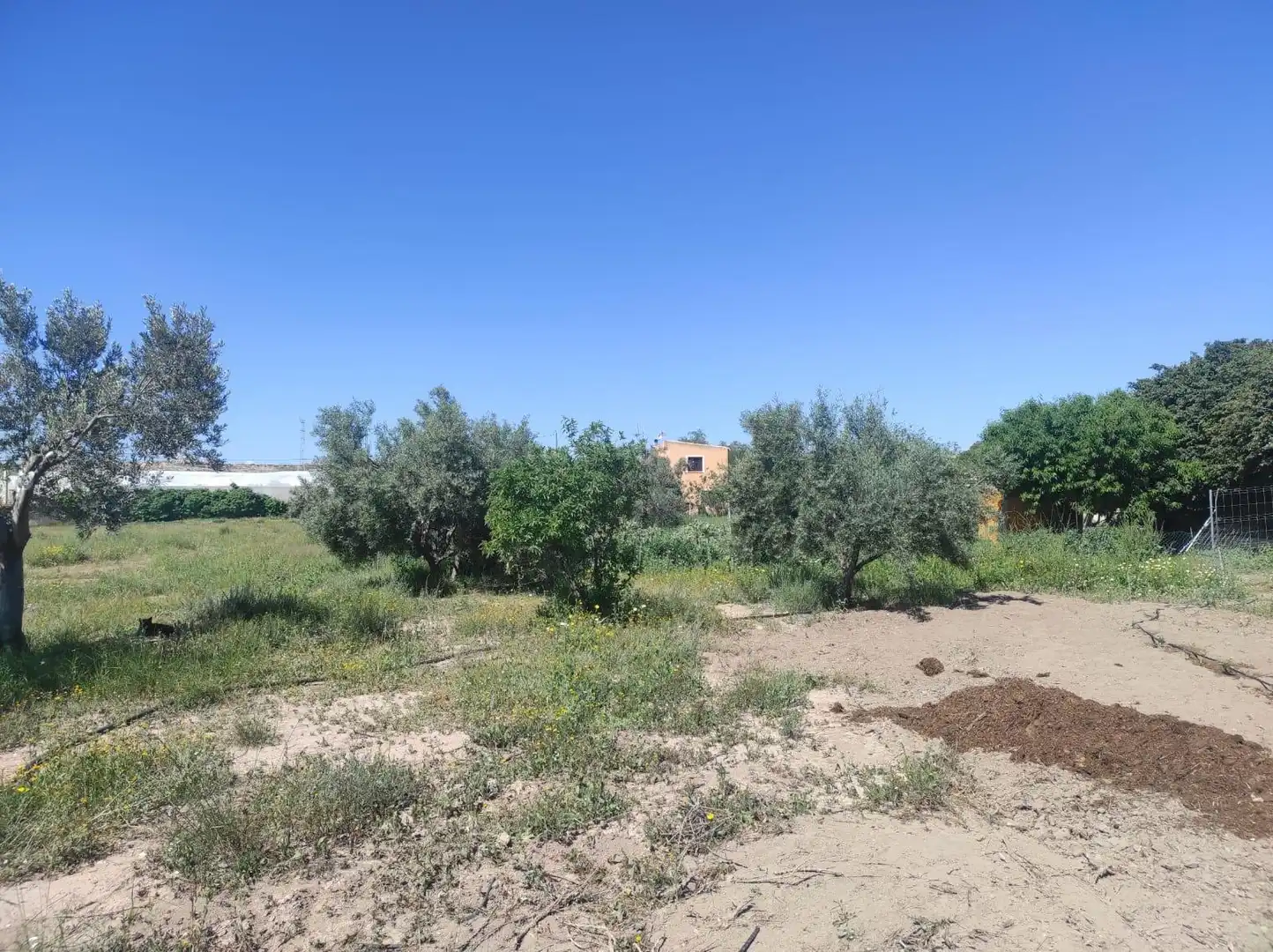 Terreno rustico in vendita a La Huerta, imagen 34