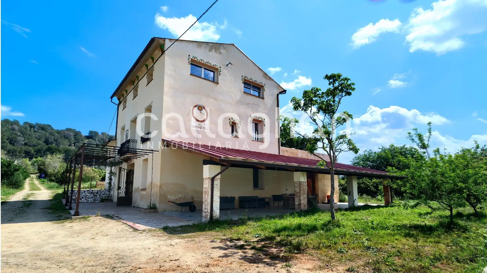 Vista exterior de Casa o chalet en venta en Alzira con Calefacción, Jardín privado y Terraza