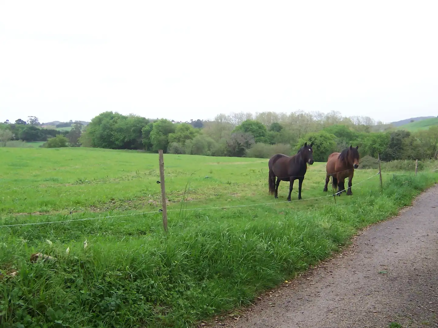 Vista exterior de Finca rústica en venda en Marina de Cudeyo amb Jardí privat