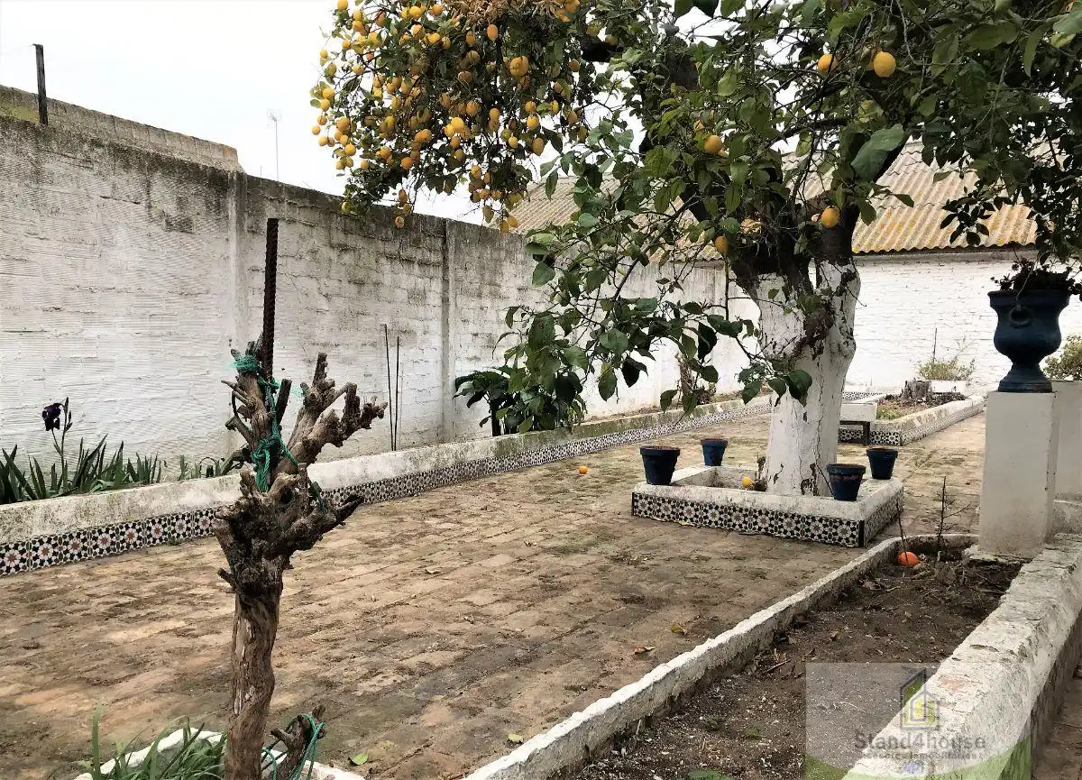 House with terrace for sale in Manzanilla, imagen 38