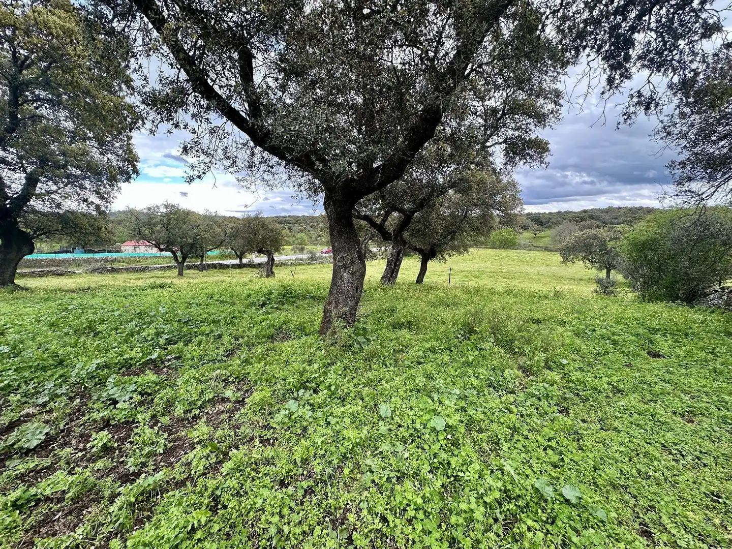 Terreni e lotti in vendita a Malpartida de Plasencia, imagen 11