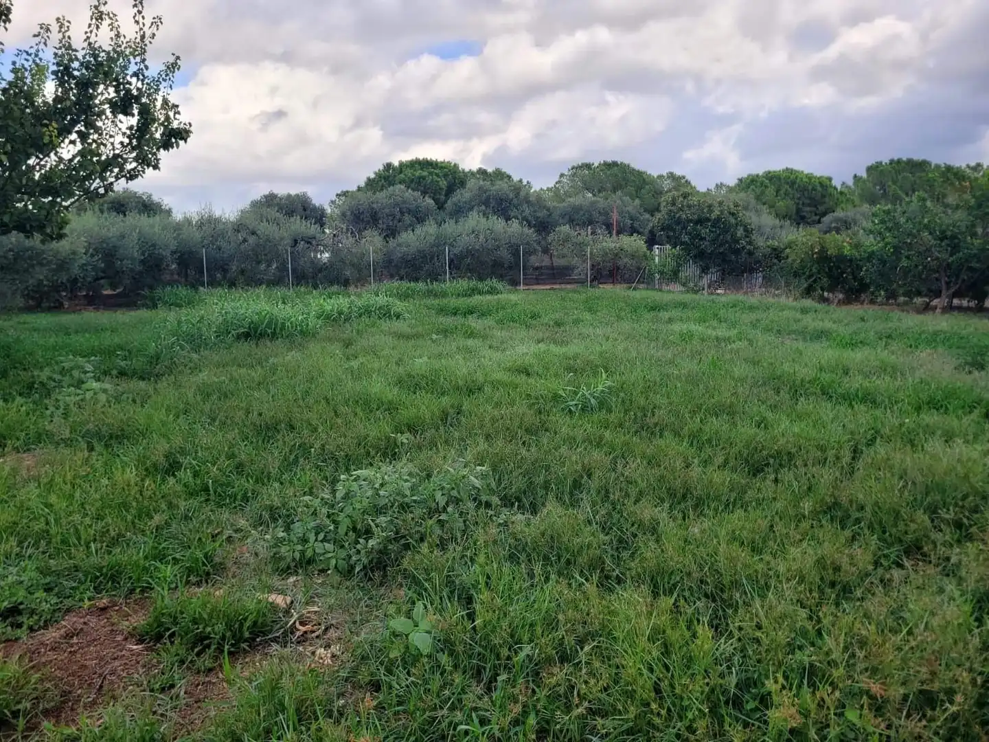 Casa rústica en venta en Riudoms, imagen 18