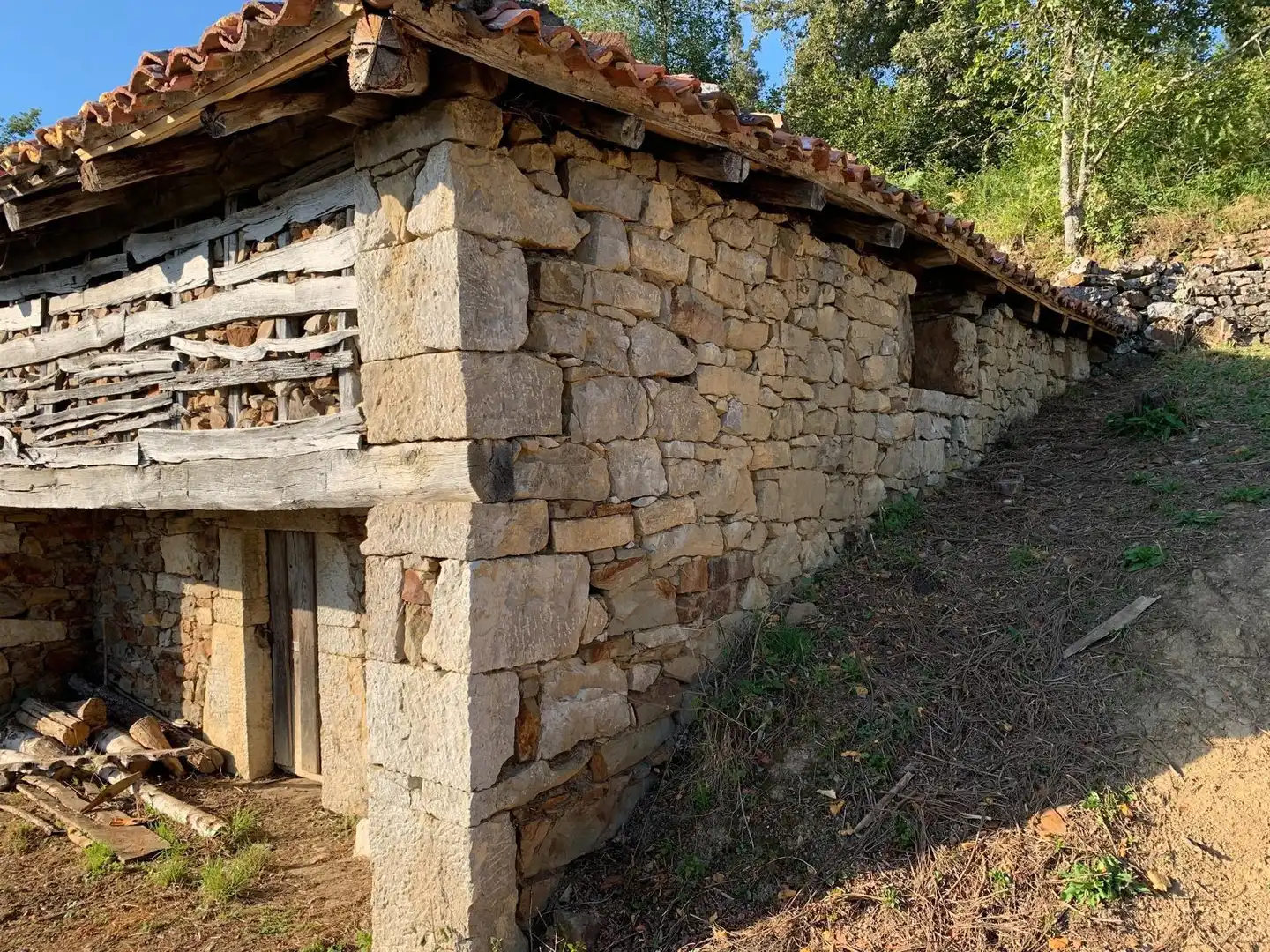 Casa con jardín en venta en Quirós, imagen 6