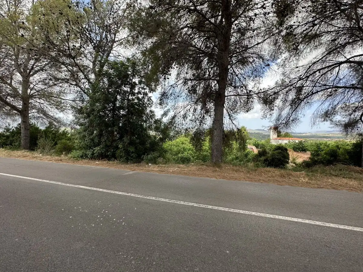 Rural land for sale in Sagunto ciudad, imagen 13
