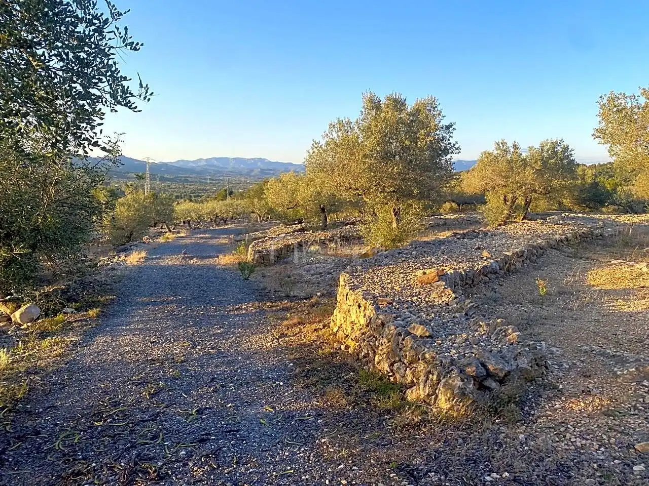 Terreno rustico in vendita a Aubach, imagen 23
