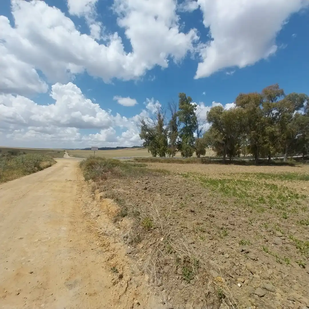 Rural land for sale in Carmona, imagen 2