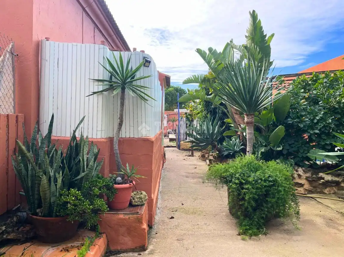 Exterior view of Country homes for sale in Chiclana de la Frontera