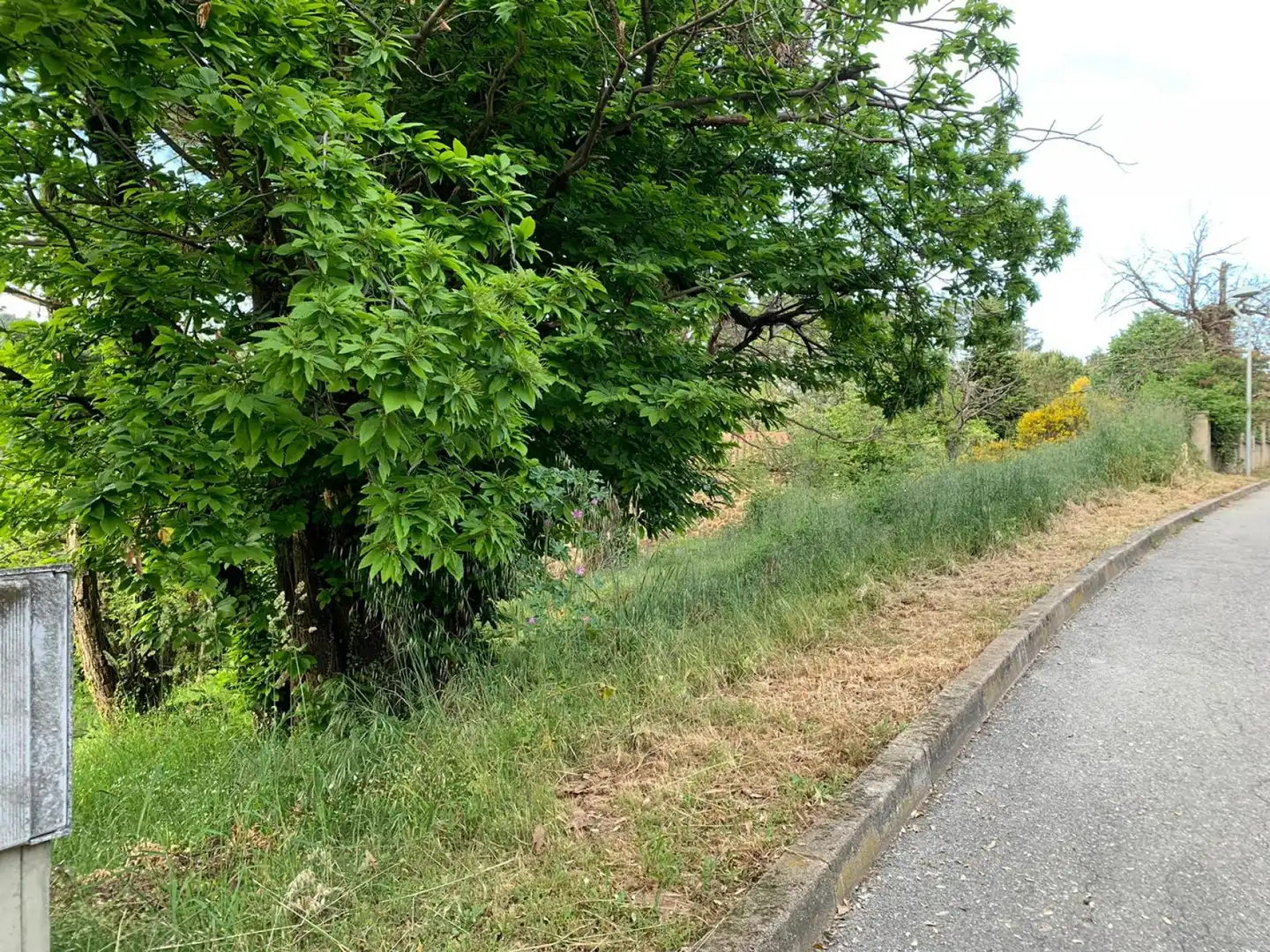 Terreno residencial en venta en Arbúcies