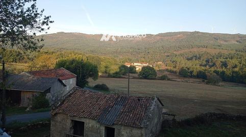 OVENZA  PIÑOR DE CEA, immagine 5