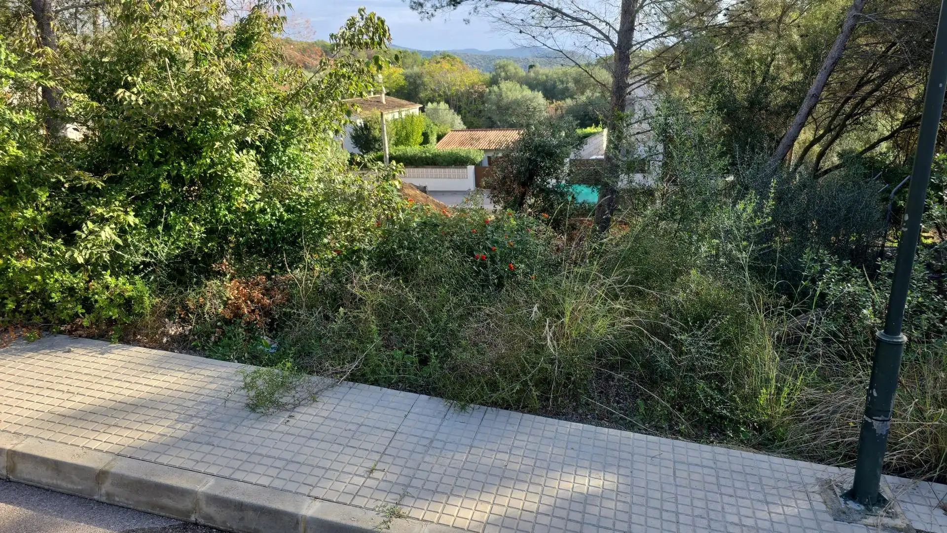 Wohnbaugrundstück zum Verkauf in Carrer de Coster de Son Puça, imagen 5