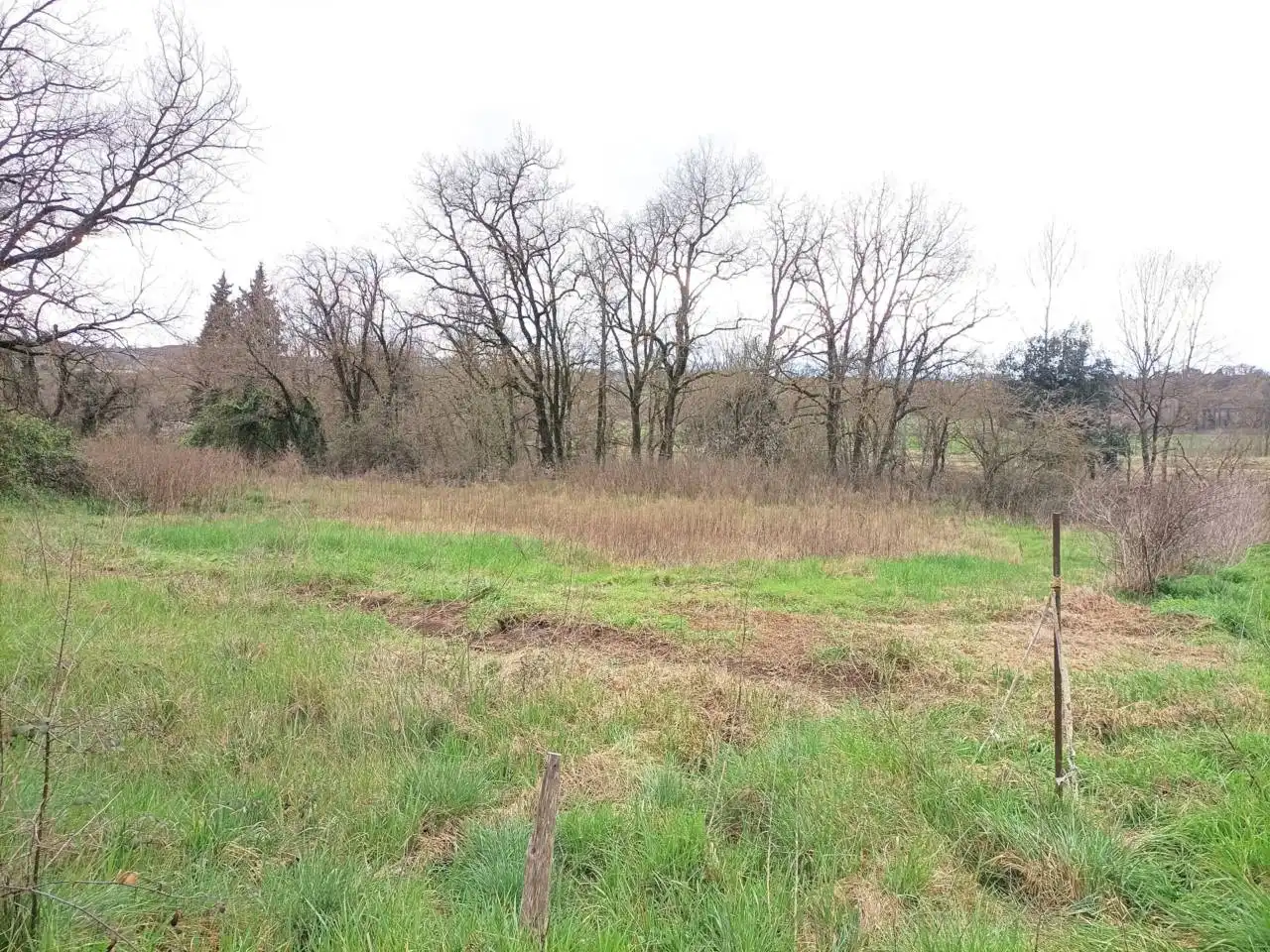 Rural land for sale in L'Esquirol