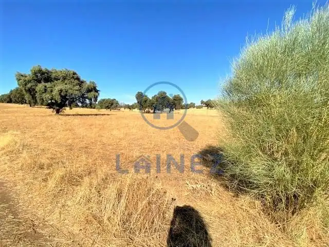 Residential land for sale in Fuente Obejuna, imagen 5