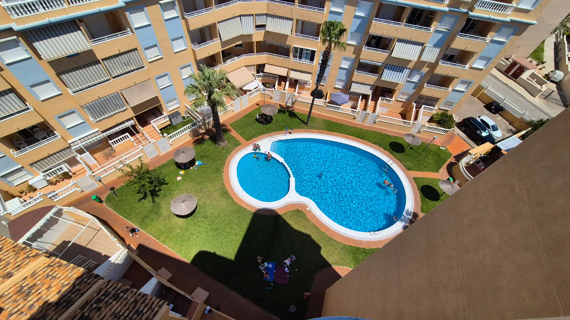 Swimming pool of Flat for sale in Elche / Elx  with Terrace