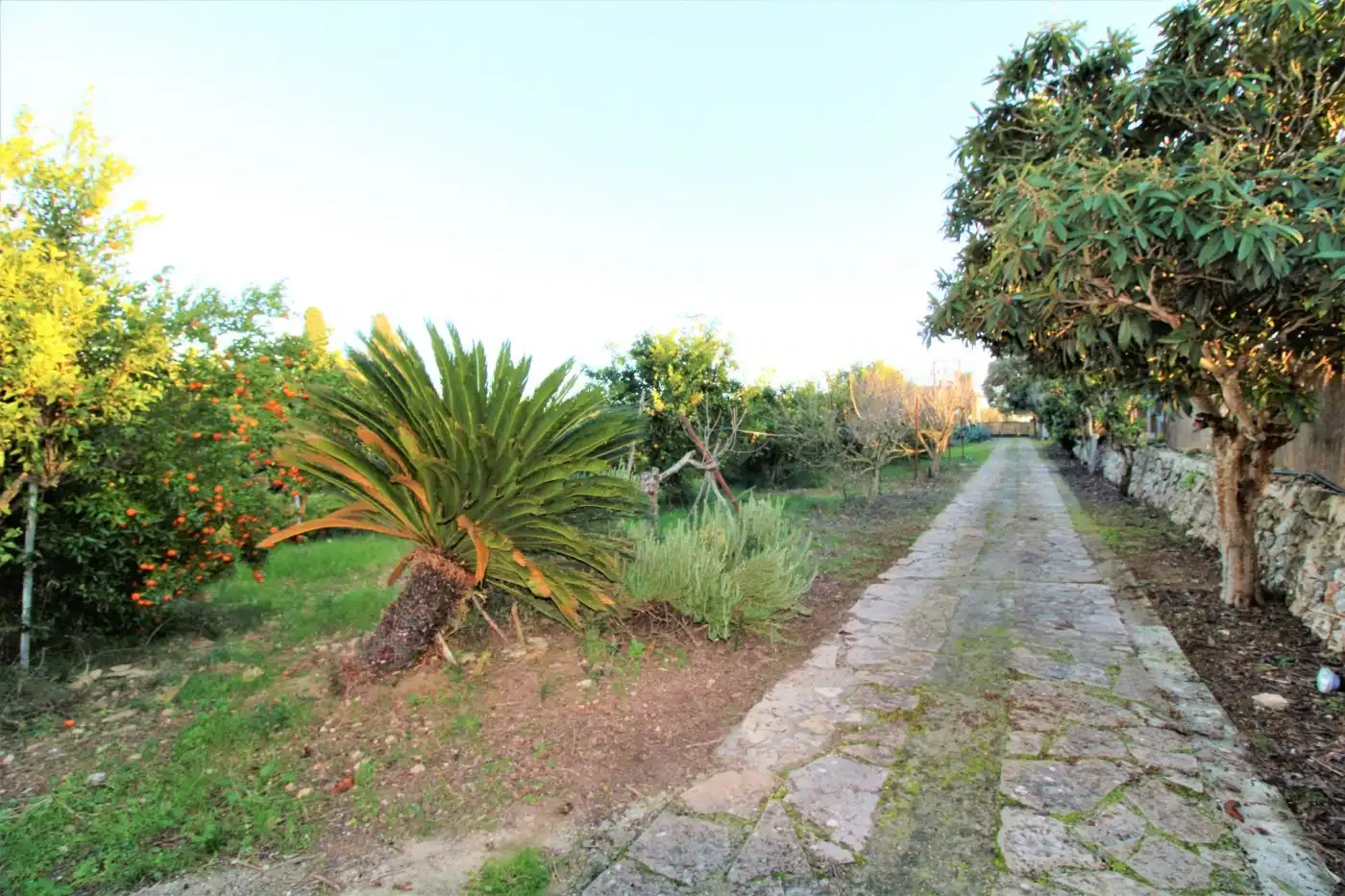 Casa rústica con piscina en venta en Llubí, imagen 32