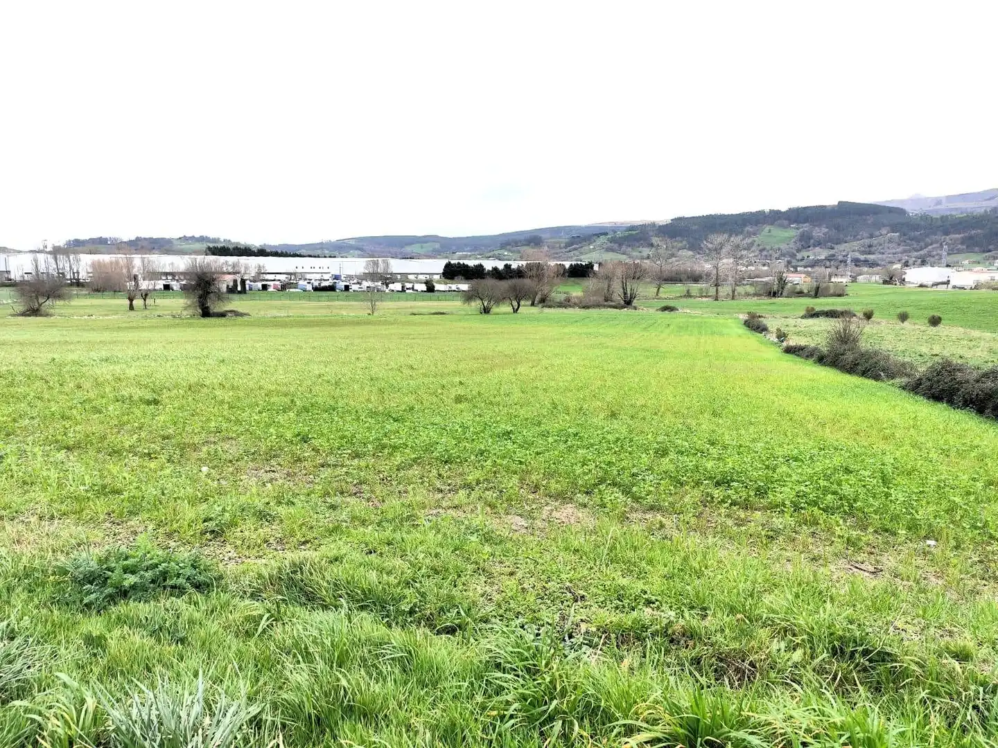 Grundstücke und Bauplätze zum Verkauf in Penagos, imagen 3