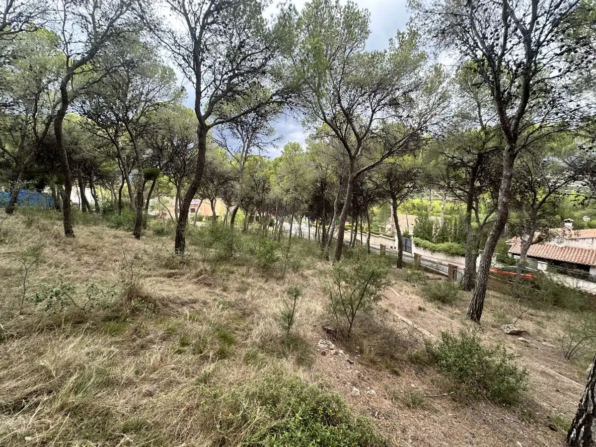 Wohnbaugrundstück zum Verkauf in Torres Torres, imagen 10