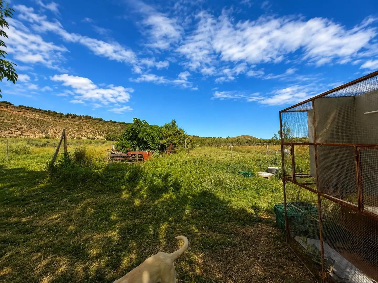 Finca rústica en venta en Monachil pueblo