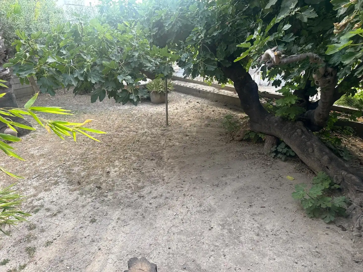 Casa o xalet en venda en Pego