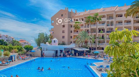 Foto 2 de Estudio en venta en San Francisco, Los Cristianos, Arona