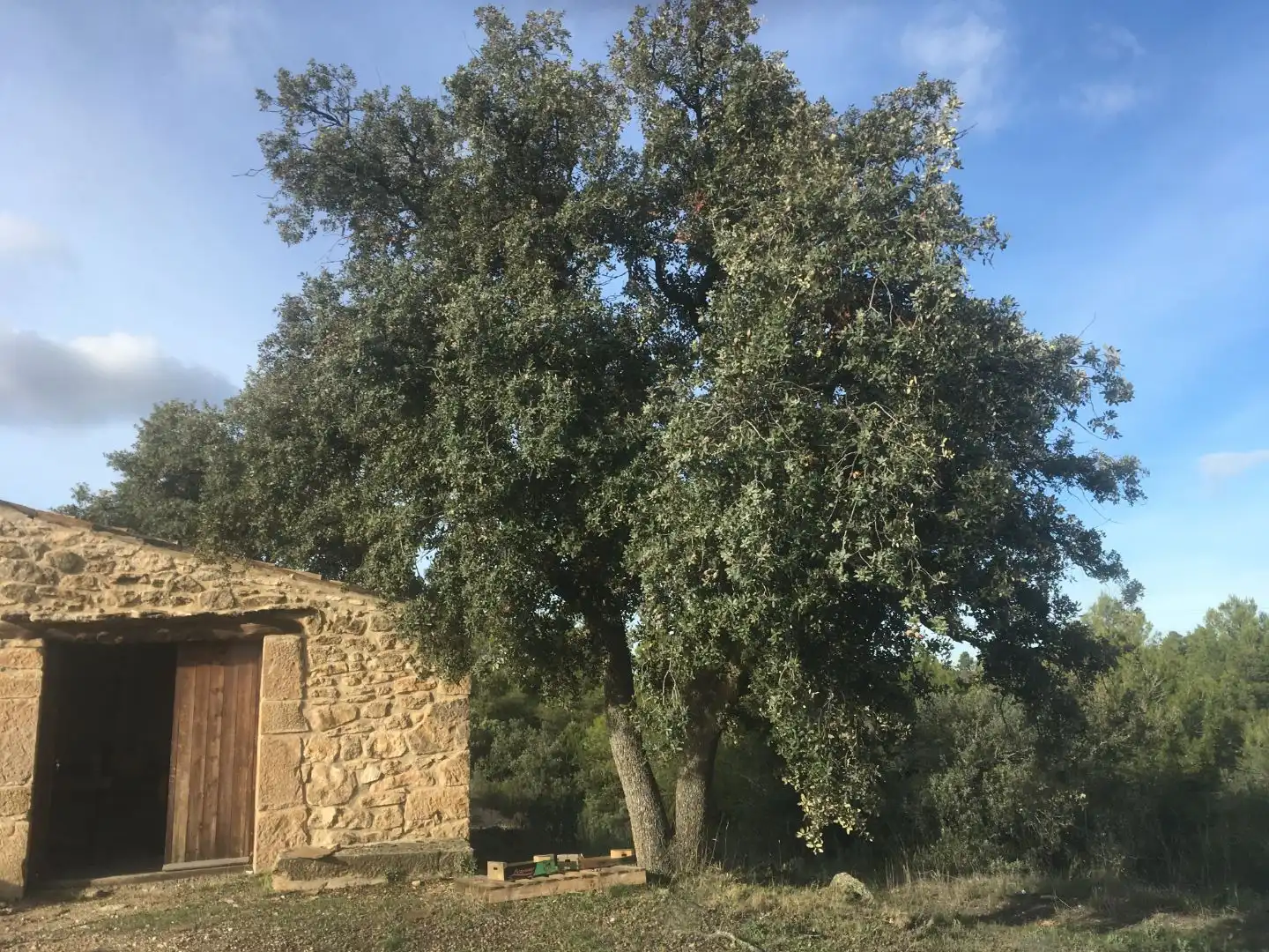 Rural land for sale in Carrer de Sant Pere 2