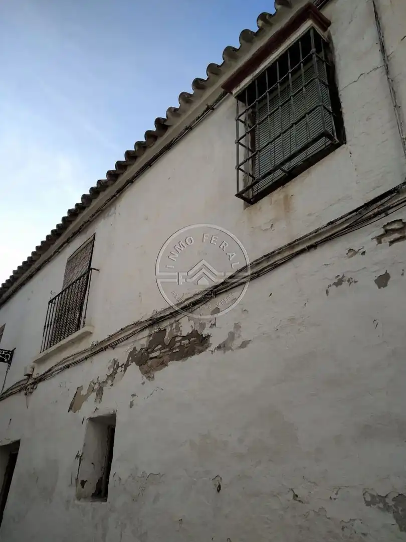 Vista exterior de Casa o xalet en venda en Écija amb Terrassa