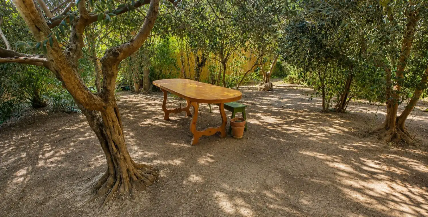 Maison avec jardin à vendre à Santa Isabel - Movera, imagen 16