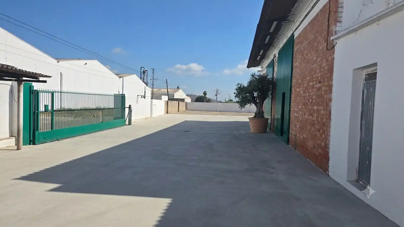 Nave industrial en venta en Avenida Llibertat d'Ensenyansa, imagen 5