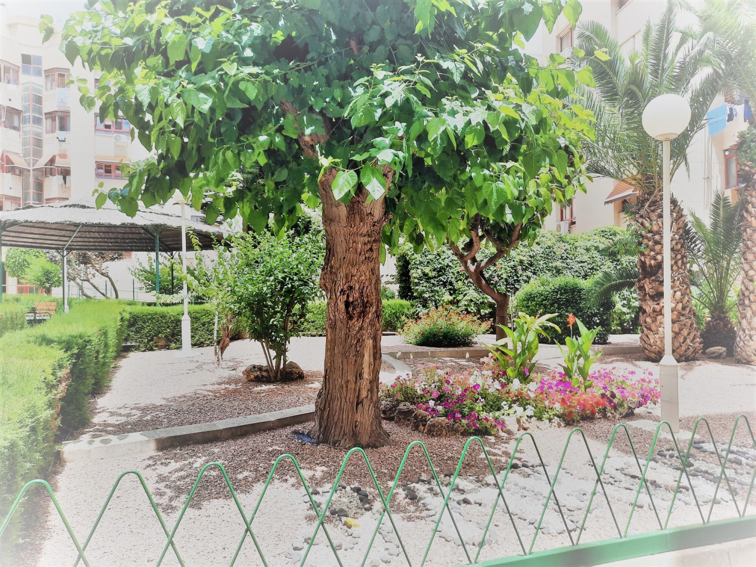 Jardí de Pis en venda en Villajoyosa / La Vila Joiosa amb Aire condicionat, Calefacció i Terrassa